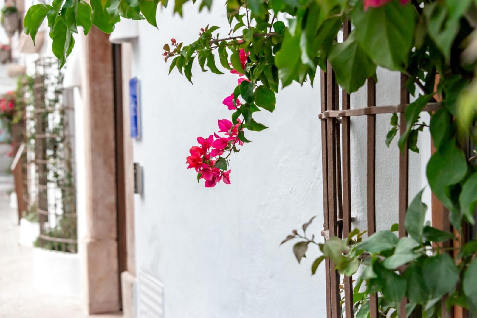 Maison Salva - Hotel Boutique ألتيا المظهر الخارجي الصورة